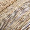 vidaXL Schilfrohrzaun Natur 300 x 160 cm Schilf