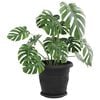 vidaXL Runde Blumenplatte 24 pcs Schwarz &Oslash; 21,5 x 2,5 cm Kunststoff