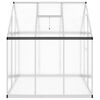 vidaXL Gew&auml;chshaus mit Fundamentrahmen Silbern 169x169x195 cm Alu