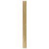 vidaXL Schmuckschrank mit Spiegel Wandmontage 30x8,5x106 cm