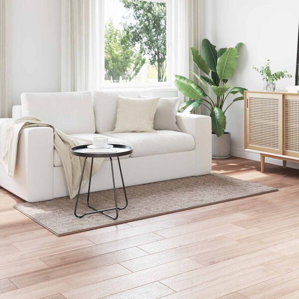 vidaXL Bereichsteppiche Rechtwinklig Sand 150 x 80 cm