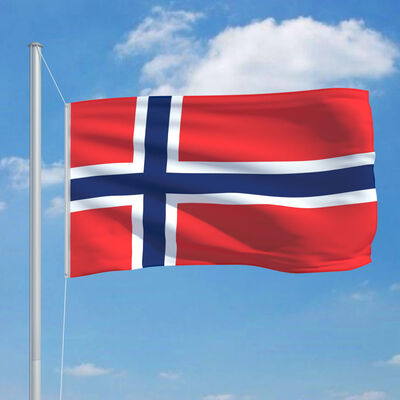 vidaXL Flagge Norwegens 90×150 cm