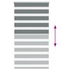 vidaXL Doppelrollo Dunkelgrau 70x150 cm Stoffbreite 65,9 cm Polyester