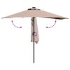 vidaXL Garten-Sonnenschirm Taupe 294 x 150 x 223 cm