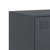 vidaXL Sideboard Anthrazit 67x39x107 cm Stahl