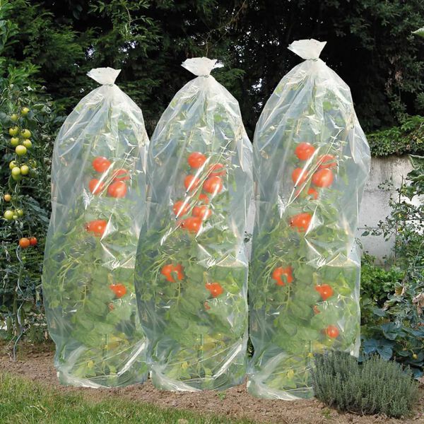 Nature Tomaten-Reifehaube 1500&times;50 cm