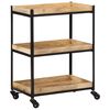 vidaXL K&uuml;chenwagen 60x40x80 cm Raues Massivholz Mango