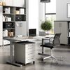 Germania Rollschrank GW-Profi 2.0 42x49x61 cm Hellgrau und Graphit