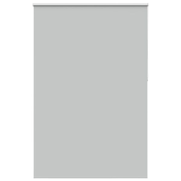 vidaXL Verdunkelungsrollo Hellgrau 155x230cm Stoffbreite 151,6cm