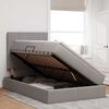 vidaXL Bett mit Stauraum und LED mit LED Taupe 120 x 190 cm Polyester