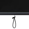 vidaXL Au&szlig;enrollo 100 x 250 cm Anthrazit