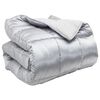 vidaXL Winterbettdecke Silber 220 x 140 cm Satin und Mikrofaser