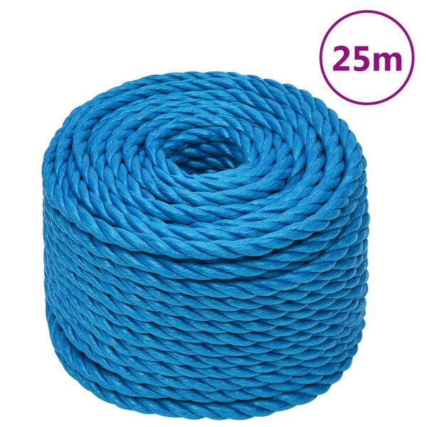 vidaXL Arbeitsseil Blau 20 mm 25 m Polypropylen