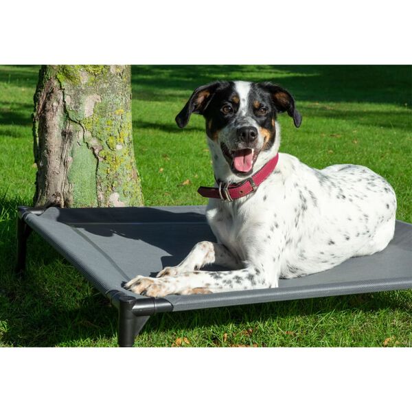dobar Outdoor Hundeliege mit Dach Anthrazit
