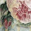 Komar Fototapete La Rosa 200x250 cm