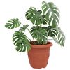vidaXL Runder Blumentopf 24 pcs Ziegelrot &Oslash; 26 x 21,5 cm Kunststoff