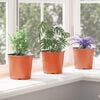vidaXL Blumentopf 100 pcs Terrakotta &Oslash; 15 x 13 cm Kunststoff