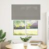 vidaXL Plissee Anthrazit 110x100 cm Stoffbreite 109,4 cm Polyester