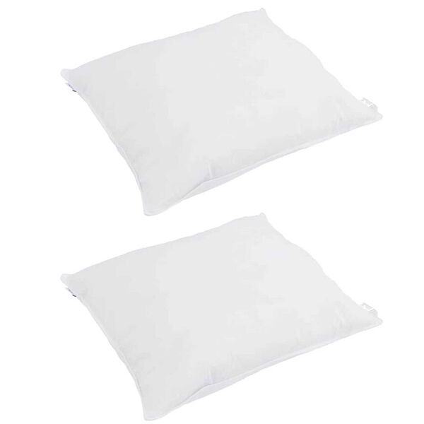 vidaXL Kopfkissen mit Kissen 2 pcs Wei&szlig; 65 x 65 cm Feder