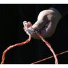 Neutral Schafzaun Elektrifizierbar OviNet 108 cm Orange