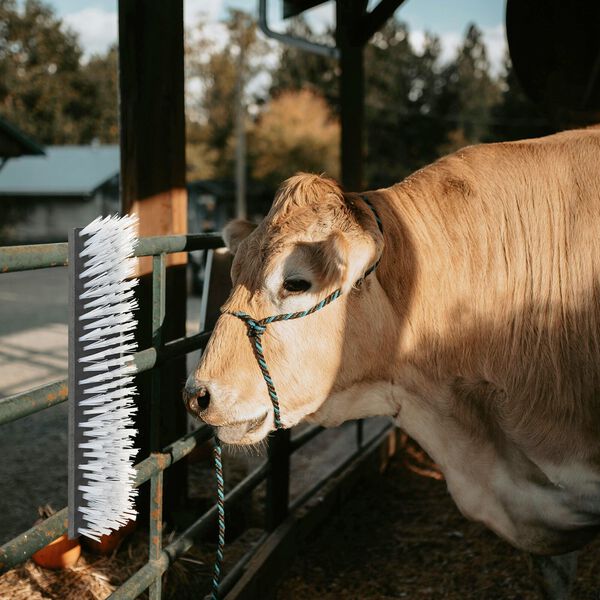 vidaXL Kühbürste Schwarz und Weiß 50 x 10 x 6.5 cm