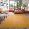 Dutch Lifestyle Teppich New York 230x160 cm Gold