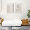 vidaXL Schlafsofa 2-Sitzer mit 2 Kissen Braun Samt