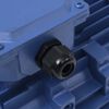 vidaXL 3-Phasen-Elektromotor Aluminium 1,5 kW 2 PS 2-Polig 2840 U/min