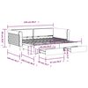 vidaXL Tagesbett Ausziehbar mit Schubladen Schwarz 100x200 cm Samt