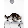 MyKotty Katzen-Kratzm&ouml;bel TOBI 59 x 25 x 6,9 cm Wei&szlig; 3087