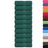 vidaXL Waschhandt&uuml;cher 10 St&uuml;ck FROGN Gr&uuml;n 30x30 cm 100% Baumwolle