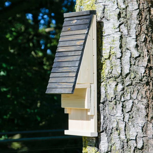 dobar green label Fledermauskasten Natur und Schwarz