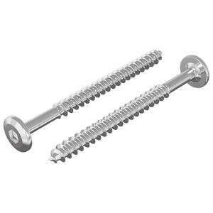 vidaXL Holzschrauben 2 pcs Silber M6 x 70 mm Stahl