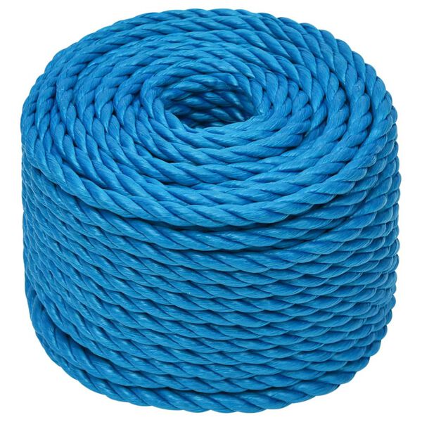 vidaXL Arbeitsseil Blau 10 mm 50 m Polypropylen