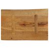 vidaXL Tischplatte mit Baumkante 60x40x3,8 cm Massivholz Mango