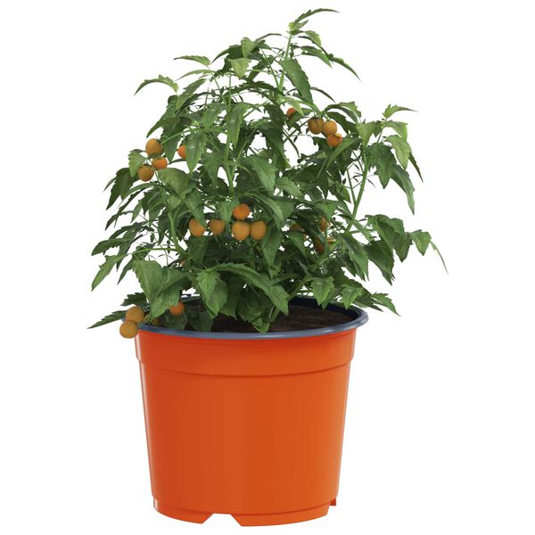 vidaXL Blumentopf 50 pcs Terrakotta &Oslash; 15 x 12,5 cm Kunststoff