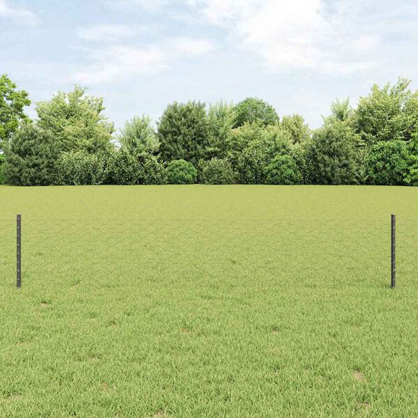 vidaXL Zaun mit Pfosten Grau 0,4 x 25 m Stahl