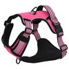 vidaXL Hundegeschirr mit Leine & Halsband Verstellbar Rosa M