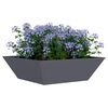 vidaXL Garten-Pflanzgef&auml;&szlig; 5 pcs Anthrazit 50 x 50 x 15 cm