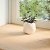 vidaXL Fensterb&auml;nke 2 Stk. Unbehandelt 80x25x2 cm Massivholz Eiche
