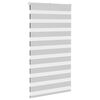 vidaXL Doppelrollo Hellgrau 70x100 cm Stoffbreite 65,9 cm Polyester