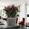LECHUZA Blumentopf QUADRO LS 43 ALL-IN-ONE Set Anthrazit 16183