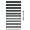 vidaXL Doppelrollo Schwarz 80x150 cm Stoffbreite 75,9 cm Polyester