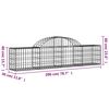 vidaXL Gabionen mit Hochbogen 2 Stk. 200x30x40/60 cm Verzinktes Eisen