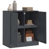 vidaXL Sideboard Anthrazit 67x39x73 cm Stahl