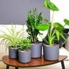 Produkt-Miniaturbild 2 von 7