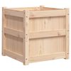 vidaXL Pflanzk&uuml;bel 2 Stk. Massivholz Kiefer