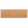 vidaXL Stufenmatten 10 Stk. 65x21x4 cm Beige Rechteckiger Rand