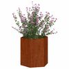 vidaXL Pflanzk&uuml;bel Rostig 40x40x45 cm Cortenstahl