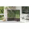vidaXL Garten-Pflanzgef&auml;&szlig; 5 pcs Braun Stahl